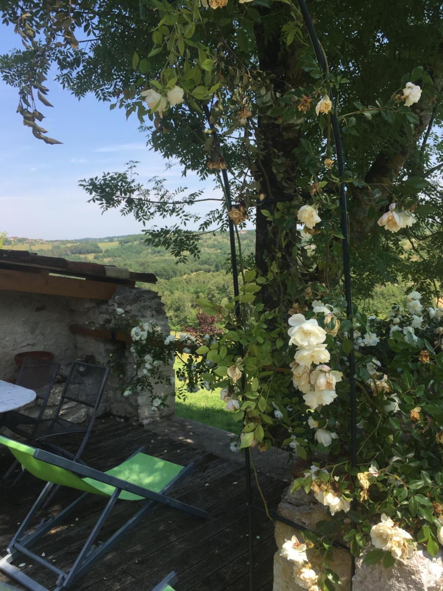 Le Mas Des Papillons Fargues  外观 照片