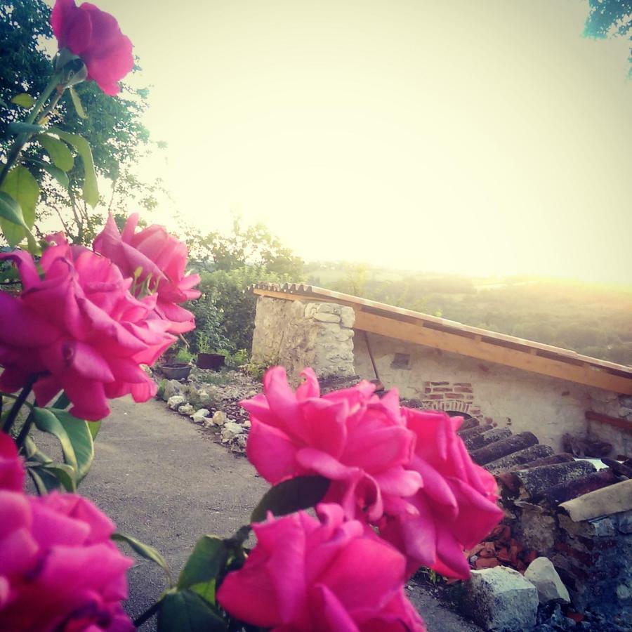 Le Mas Des Papillons Fargues  外观 照片