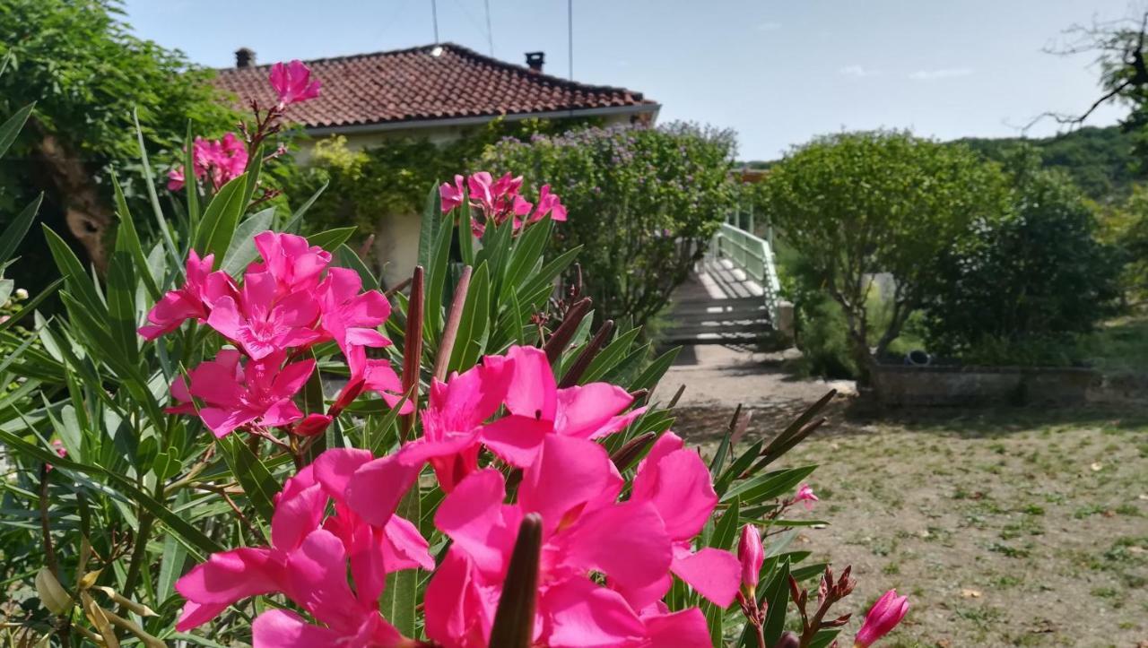 Le Mas Des Papillons Fargues  外观 照片